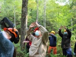 Student and instructor assessing trees in a woodlot