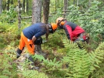 Student and instructor begin cutting a tree