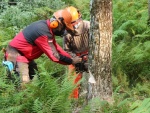 Student cutting tree with instructor guidance